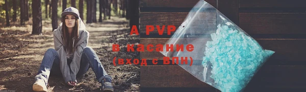 круглые Белокуриха