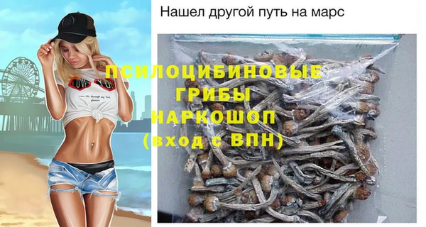 мдпв Нефтегорск