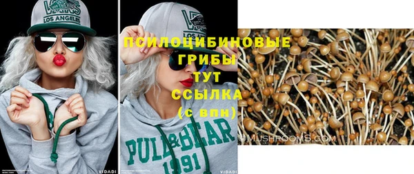 стаф Нефтекумск