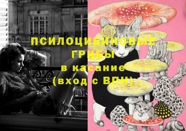 гидра Новокубанск