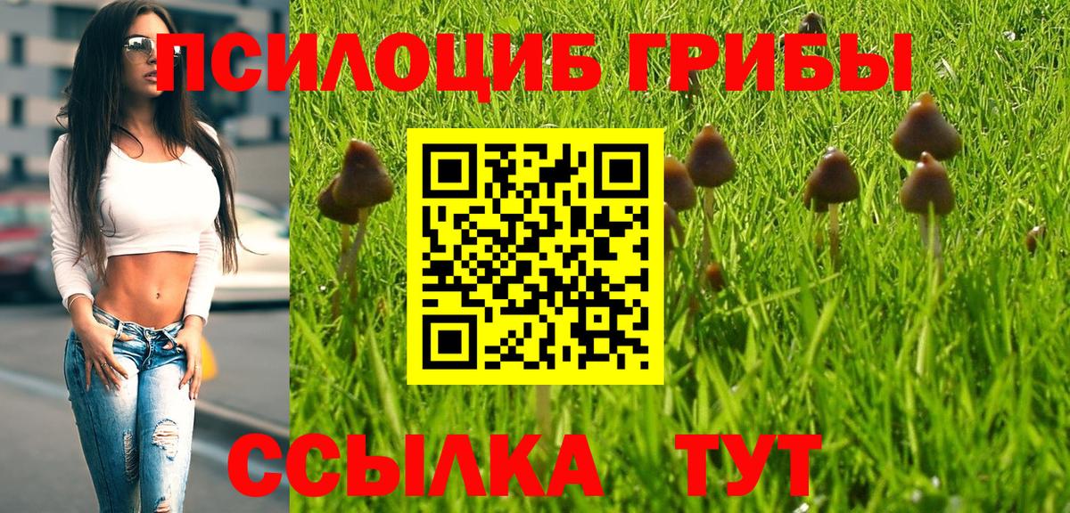 Псилоцибиновые грибы Psilocybine cubensis  Вход с VPN  Киржач 